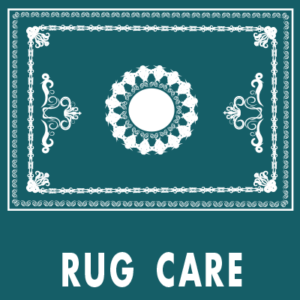 Rug Cleaning